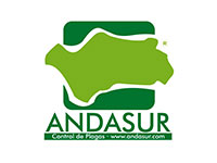 Andasur